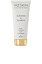 view 1 of 6 Cleanse & Clarify Dual Action AHA Cleanser & Mask in 
