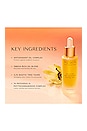 view 6 of 6 Reviving Antioxidant Facial Oil in 