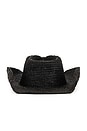 view 3 of 3 Diano Cowboy Hat in Black