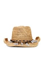 view 1 of 3 Morgan Cowboy Hat in Natural & Blue
