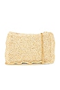 view 1 of 5 Kara Crossbody Bag in Natural & Gold