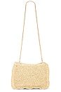 view 5 of 5 Kara Crossbody Bag in Natural & Gold