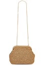 view 1 of 5 Karla Clutch in Natural & Gold