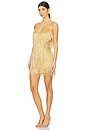view 3 of 6 Beaded Fringe Mini Dress in Gold