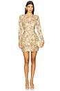 view 1 of 4 Sienna Mini Dress in Multi