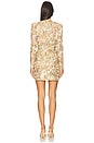 view 3 of 4 Sienna Mini Dress in Multi