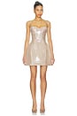 view 1 of 4 Leyton Dress in Champagne
