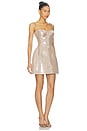 view 2 of 4 Leyton Dress in Champagne