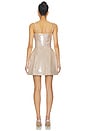 view 3 of 4 Leyton Dress in Champagne