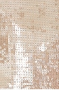view 4 of 4 Leyton Dress in Champagne