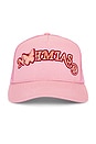 view 1 of 3 Butterfly Arch Trucker Hat in Pink