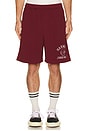 view 1 of 4 Varsity Baggy P.E. Short in Vintage Burgundy