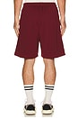 view 2 of 4 Varsity Baggy P.E. Short in Vintage Burgundy