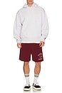 view 3 of 4 Varsity Baggy P.E. Short in Vintage Burgundy