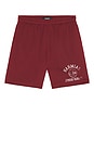 view 4 of 4 Varsity Baggy P.E. Short in Vintage Burgundy