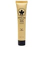 view 1 of 4 Cactus Hand Cream in Dulce De Cuerpo