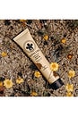 view 4 of 4 Cactus Hand Cream in Dulce De Cuerpo
