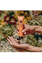 view 3 of 4 Cactus Hand Cream in Flor De Madera