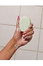 view 2 of 4 CHAMPÚ SHAMPOO BAR in Balancing