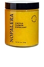 view 1 of 6 Cactus Body Polish in Tangerine