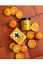 view 3 of 6 Cactus Body Polish in Tangerine