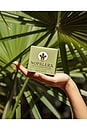 view 5 of 6 Cactus Body Scrub in Bosque Mistico