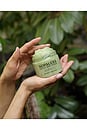view 7 of 6 Cactus Body Scrub in Bosque Mistico