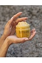 view 6 of 8 EXFOLIACIÓN CORPORAL CACTUS BODY SCRUB in Dulce De Cuerpo