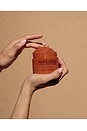 view 7 of 9 CACTUS BODY SCRUB ボディスクラブ in Flor De Madera