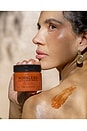 view 9 of 9 CACTUS BODY SCRUB ボディスクラブ in Flor De Madera