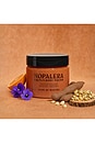 view 10 of 9 CACTUS BODY SCRUB ボディスクラブ in Flor De Madera