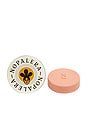 view 1 of 8 Botanical Lotion Bar in Jasmine