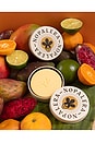 view 3 of 8 Botanical Lotion Bar in Jasmine