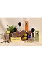 view 2 of 3 Perfume 50ml in Bosque Mistico