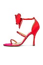 view 5 of 5 Malkia Sandal in Red & Pink