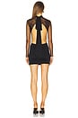 view 4 of 4 Elysia Dress in Night Fall