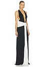 view 2 of 3 Siwa Dress in Raven
