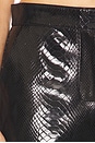 view 6 of 6 Lenny Leather Pant in Amazonia