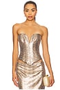 view 1 of 5 Kismet Corset in Serpentine Daze
