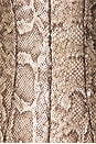 view 5 of 5 Kismet Corset in Serpentine Daze