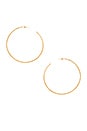 view 1 of 2 Classico Grande Hoops in Gold