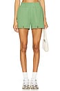 view 1 of 6 Scout Short in Loden
