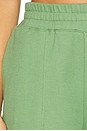 view 6 of 6 Scout Short in Loden