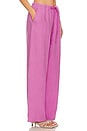 view 2 of 4 Lucia Tie Waist Pant in Rosebud