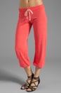 view 1 of 6 Medora Capri Sweats in Poppy
