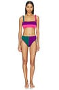 view 5 of 5 BRAGUITA BIKINI CONTOUR in Ultraviolet & Dark Green
