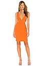 view 1 of 3 Sophia Dress in Papaya