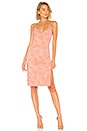 view 1 of 3 Donna Dress in Pink Blush