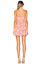 view 3 of 3 Daimilee Dress in Blush & Ivory