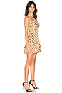 view 2 of 3 x Naven Lauren Dress in Nude Polka Dot